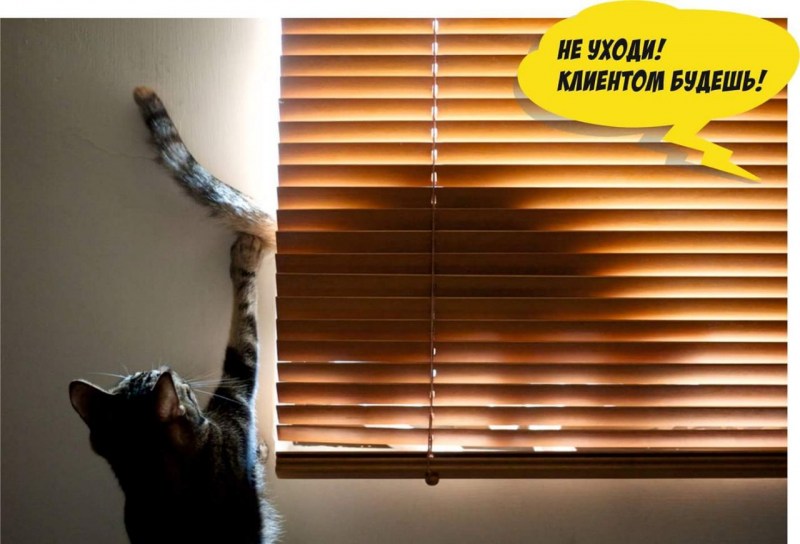 Креативная реклама жалюзи