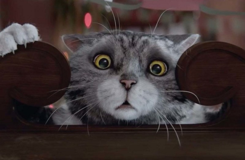 Рождественский кот mog