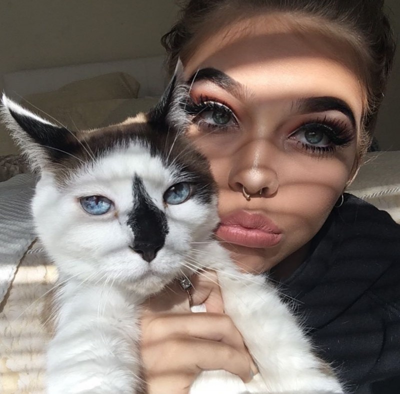 Кошкин язык под микроскопом