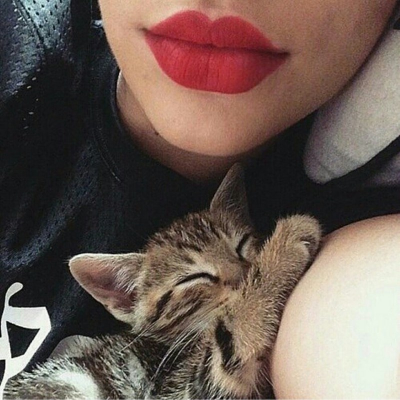 Лицо кота Лео в реальной жизни
