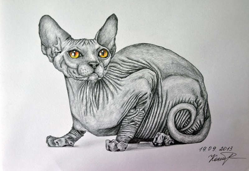 Сфинкс рисунок