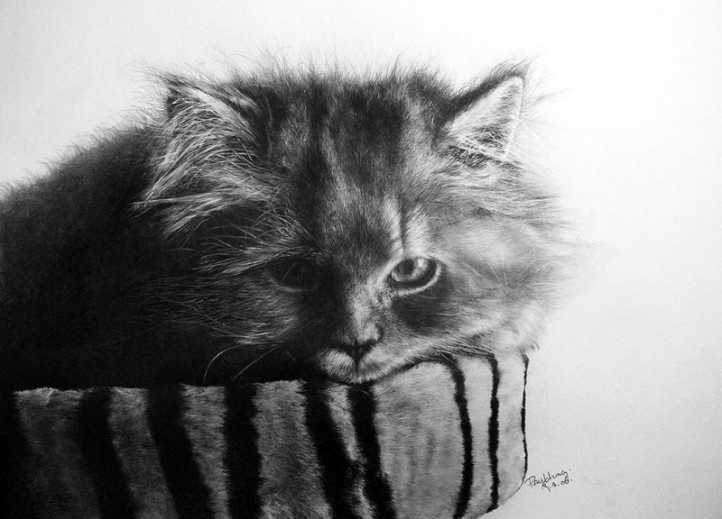Котик скетч