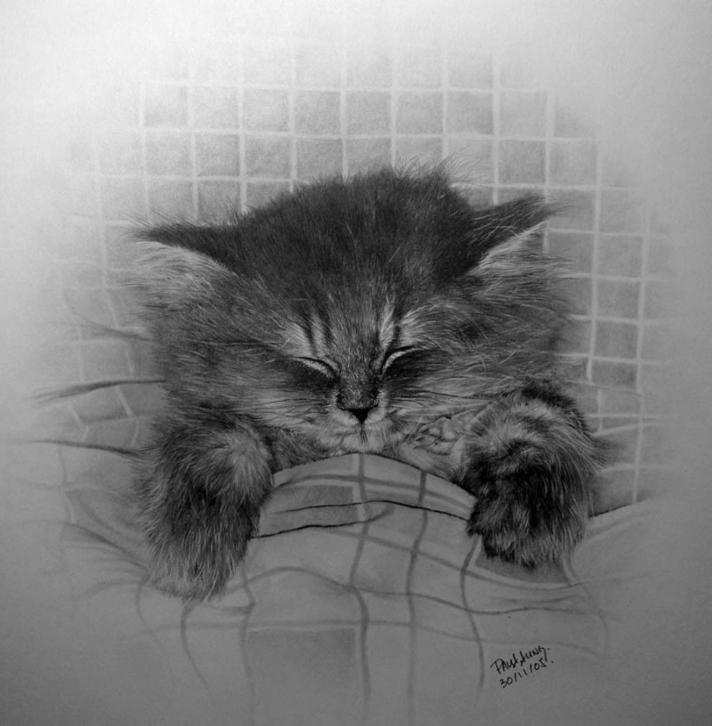 Котенок арт