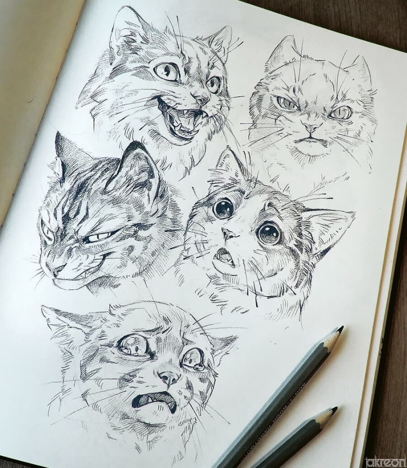 Котенок карандашом