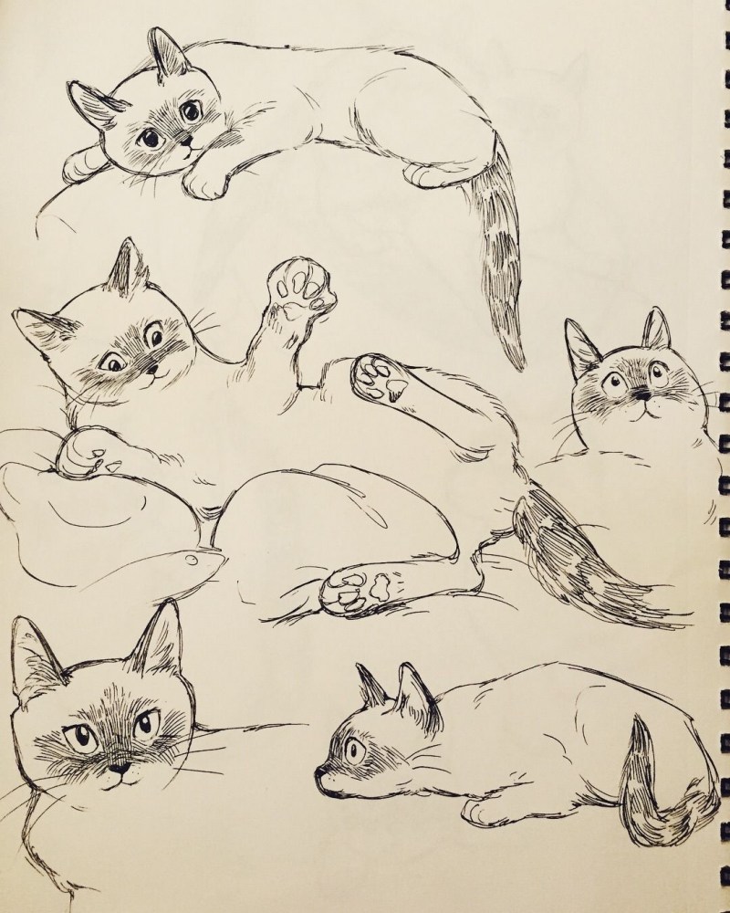 Кошка карандашом