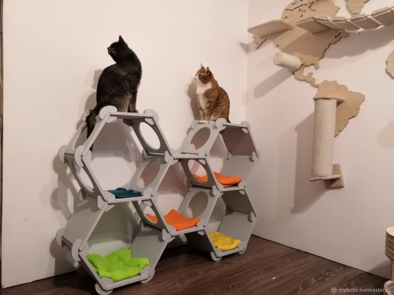 Настенный комплекс для кота