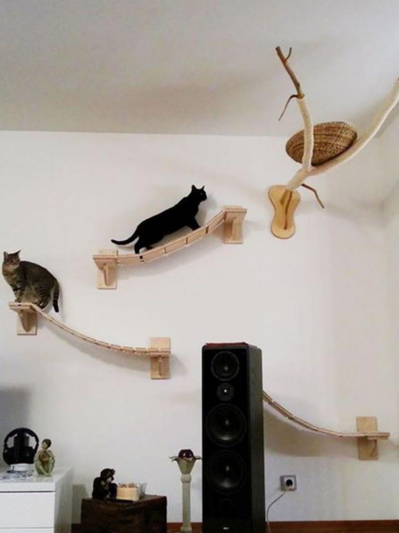 Домик для кота на стене