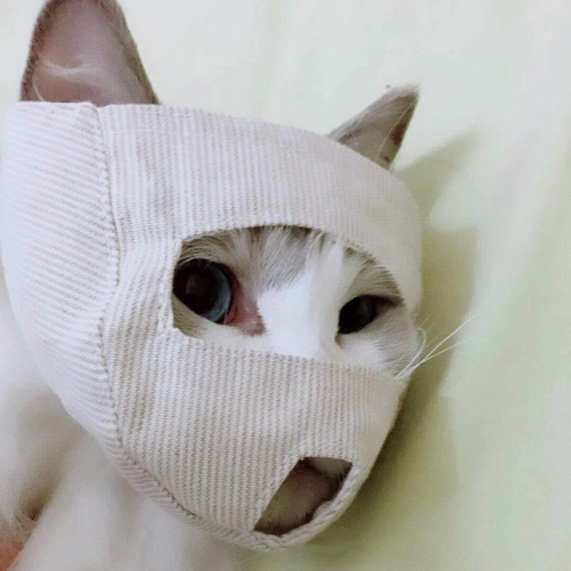 Намордник для кошек с глазами