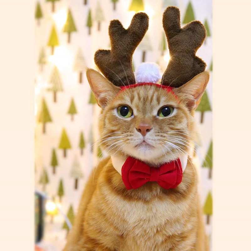 Костюм оленя для кота