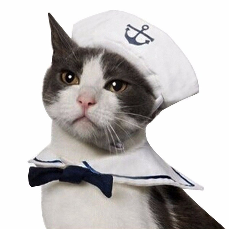 Шляпы для котов