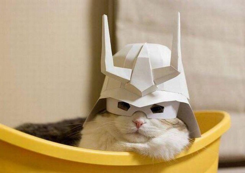 Кот на бумаге