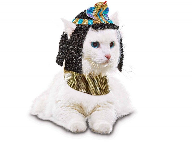 Костюм кошки