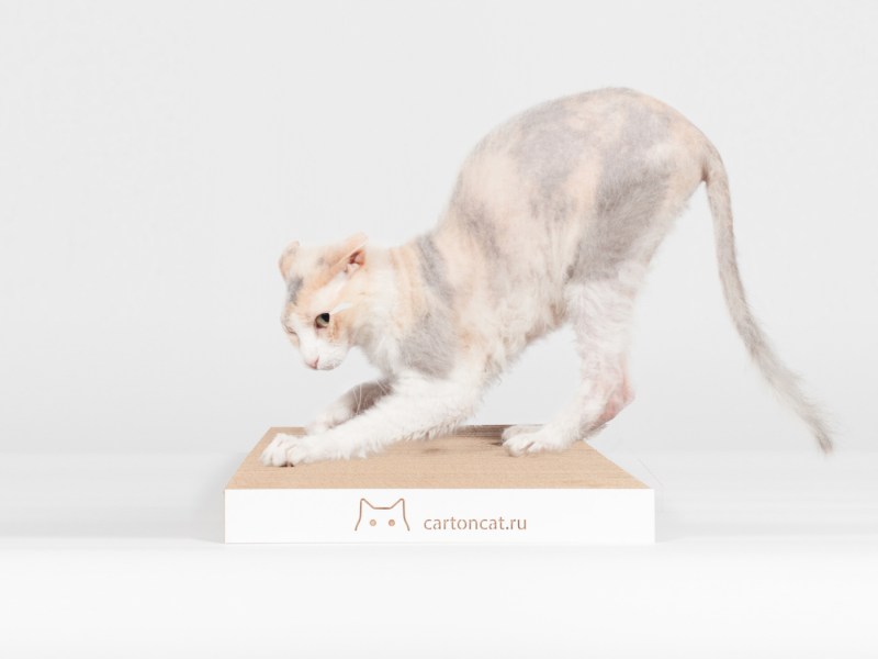 Лежанка для кошки