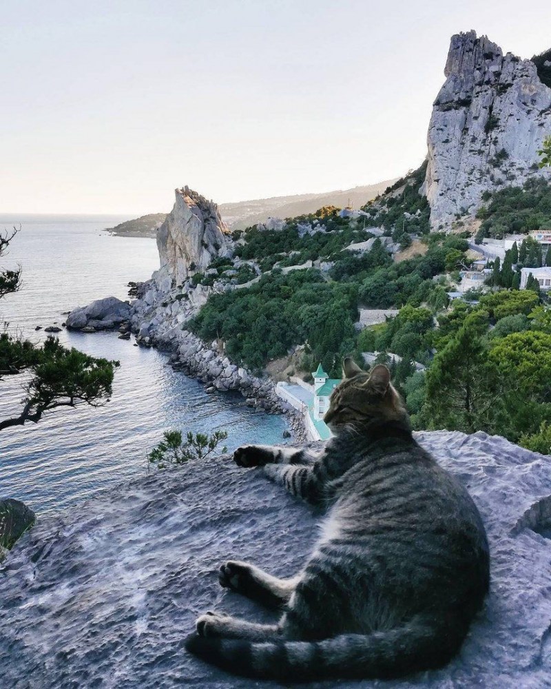 Симеиз Крым скала кошка