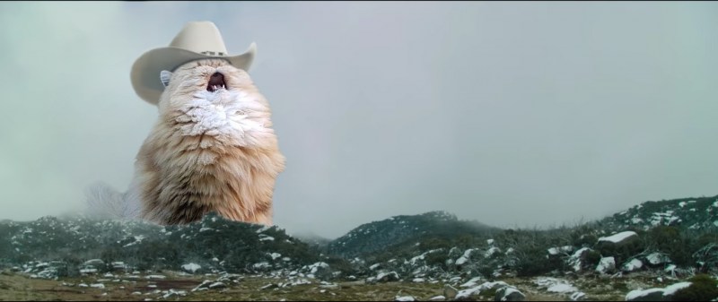 Горные коты