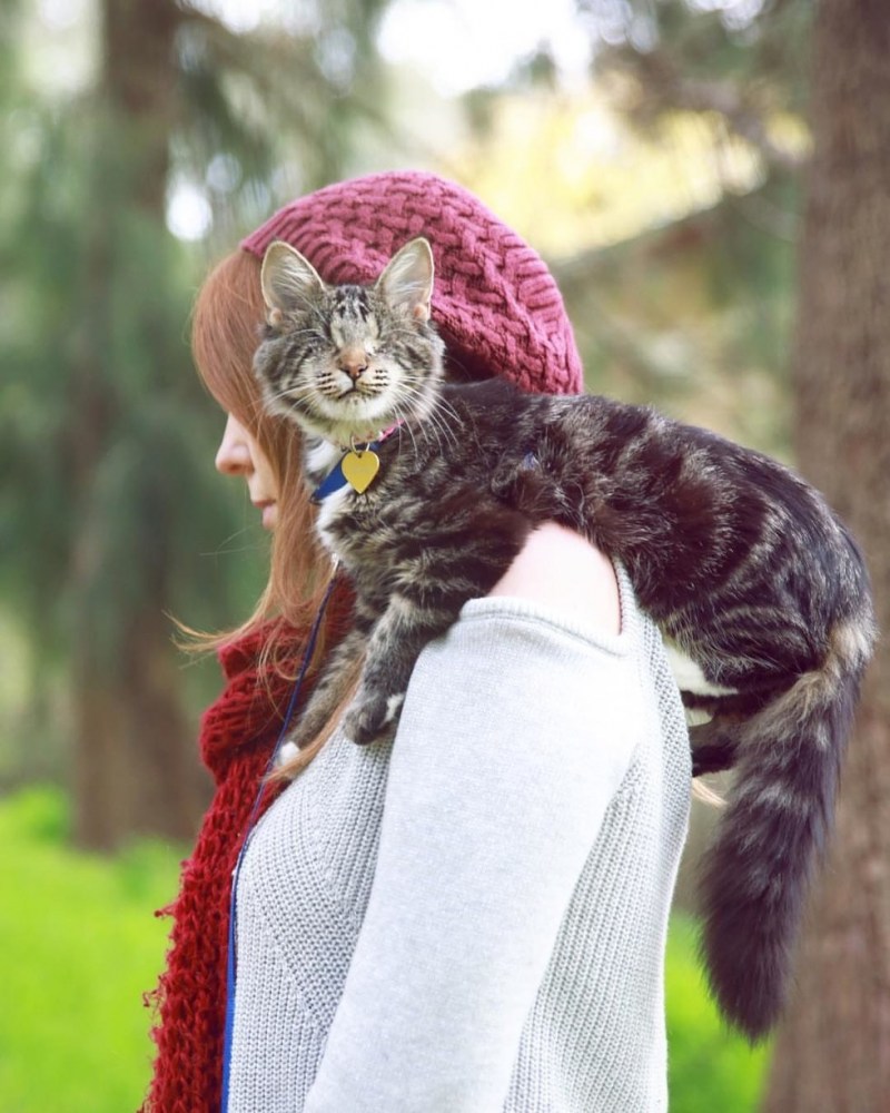 Безглазая кошка