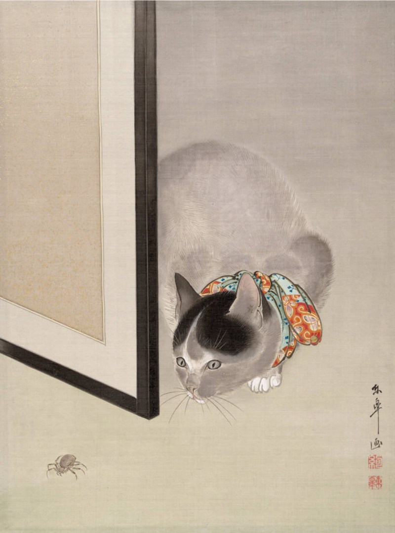 Gu Yingzhi Китай кошки