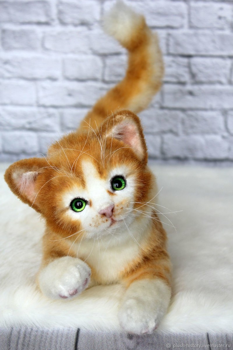 Ярко рыжий котенок