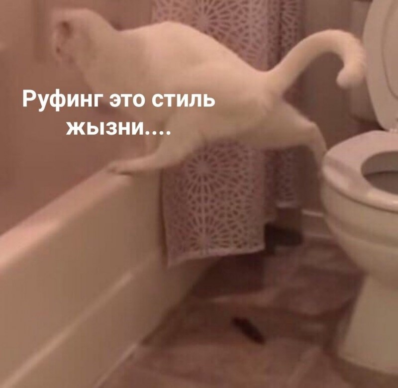 Туалет унитаз для котят
