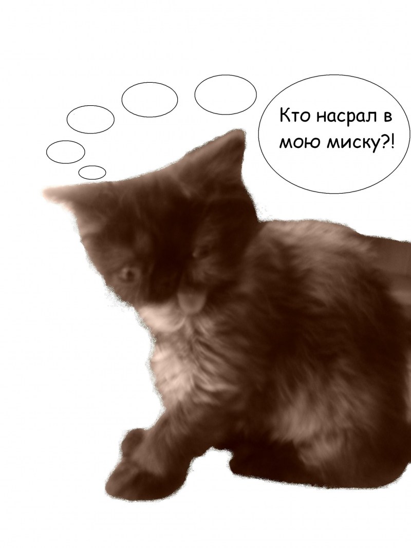 Чумачечий ездка фильмы