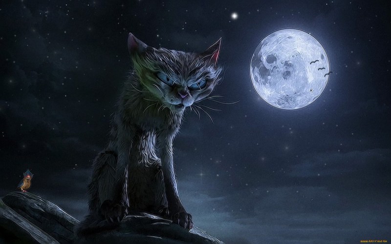 Кошка на фоне Луны