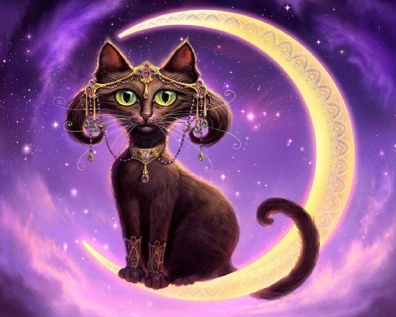 Фантастический кот