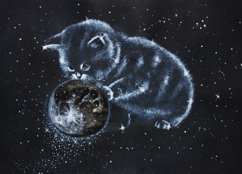 Кошка Луна