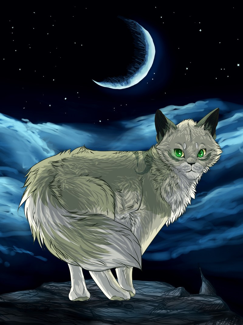 Лунные кошки