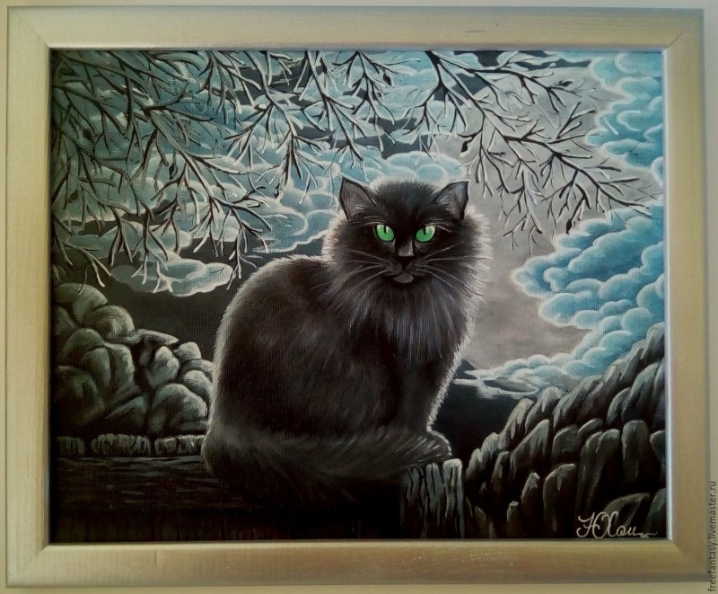 Белая кошка ночью