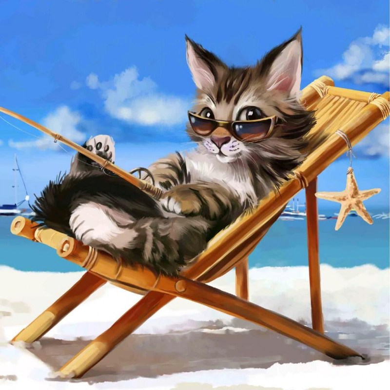 Котик на пляже