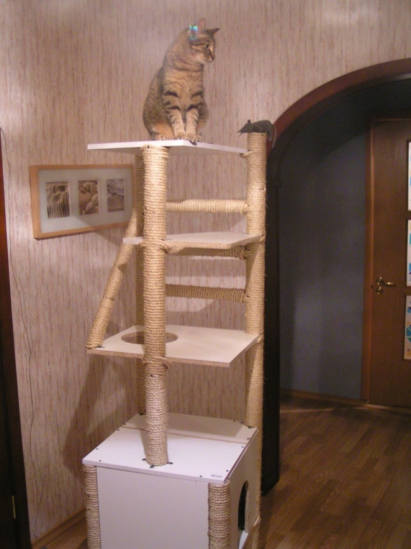 Этажерка для котов