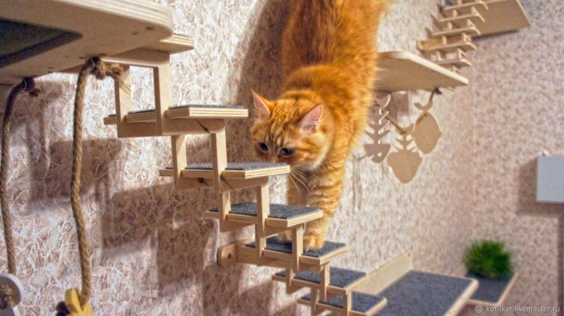 Настенный комплекс для кошек
