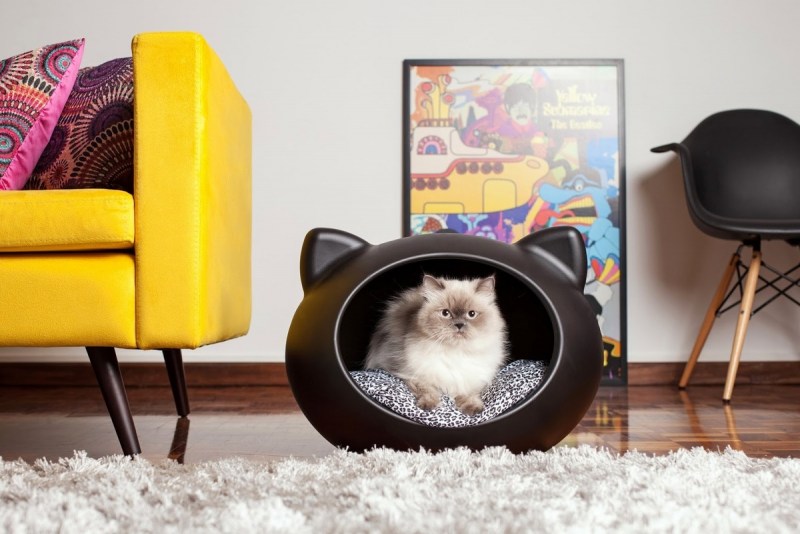 Котики в интерьере