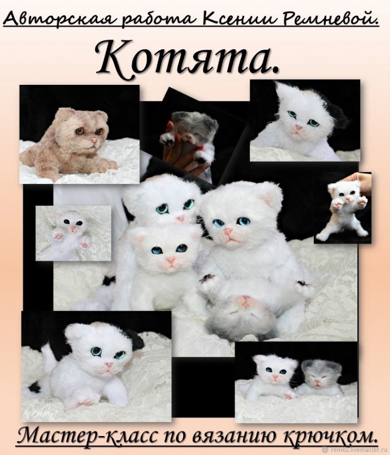 Картинки выбирать котят