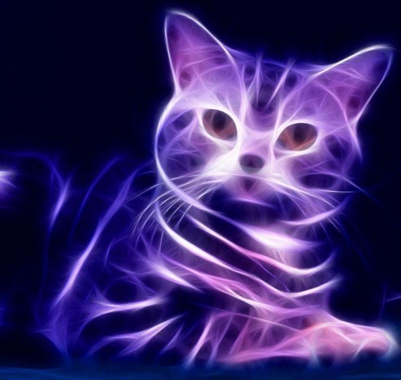 Фиолетовая кошка