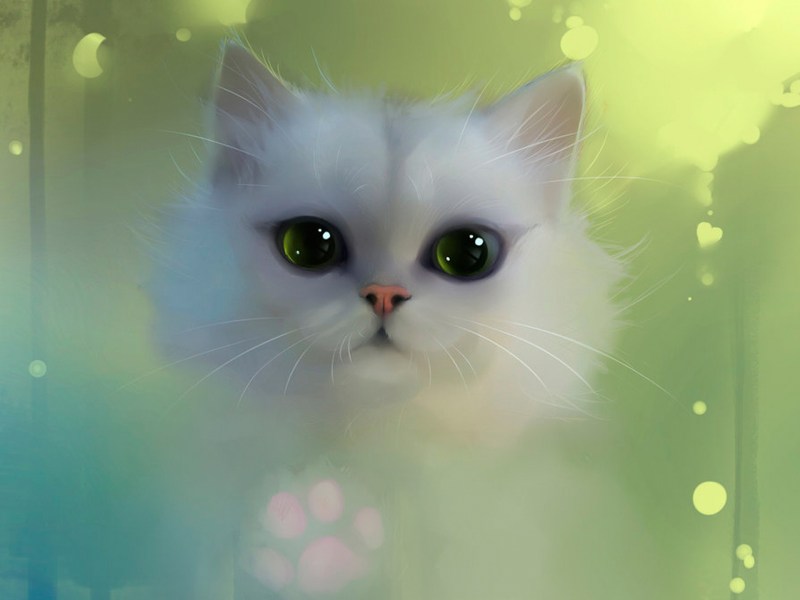 Рихард Донскис котики