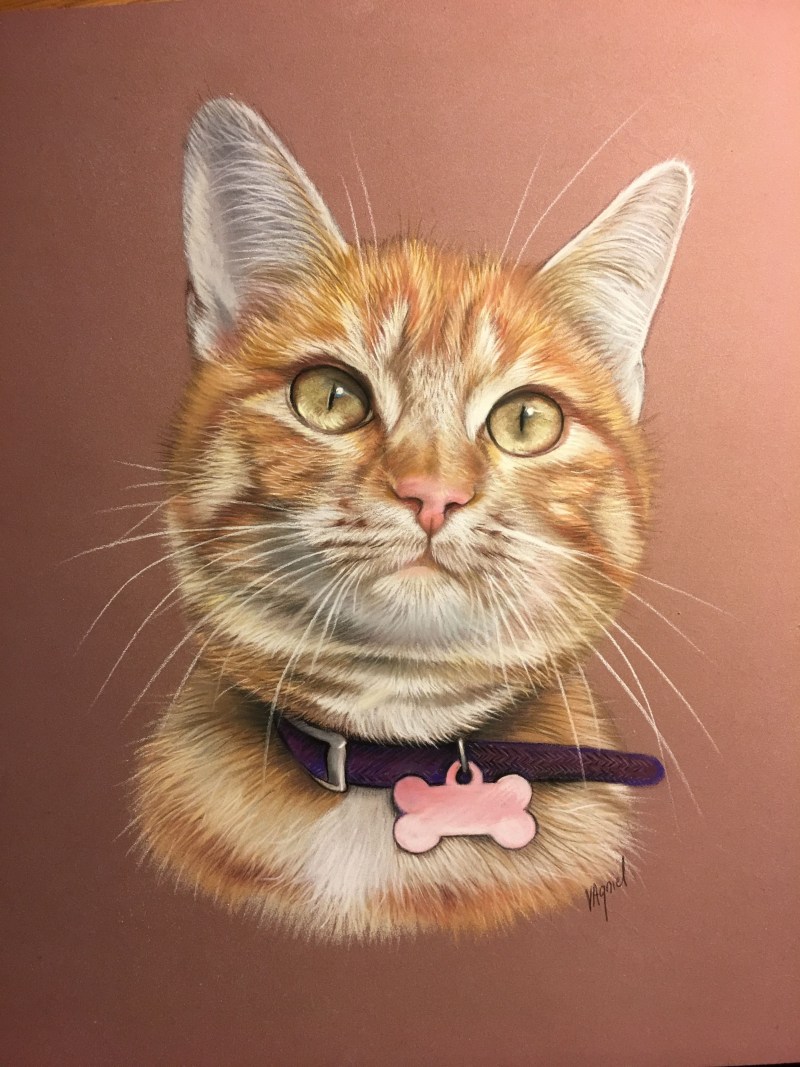 Кот арт
