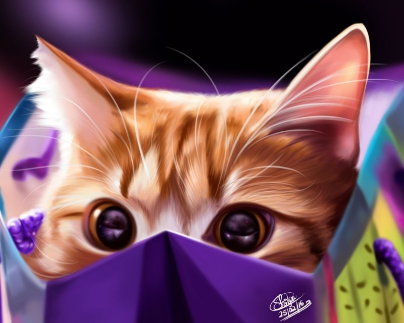 Аватарки кошки