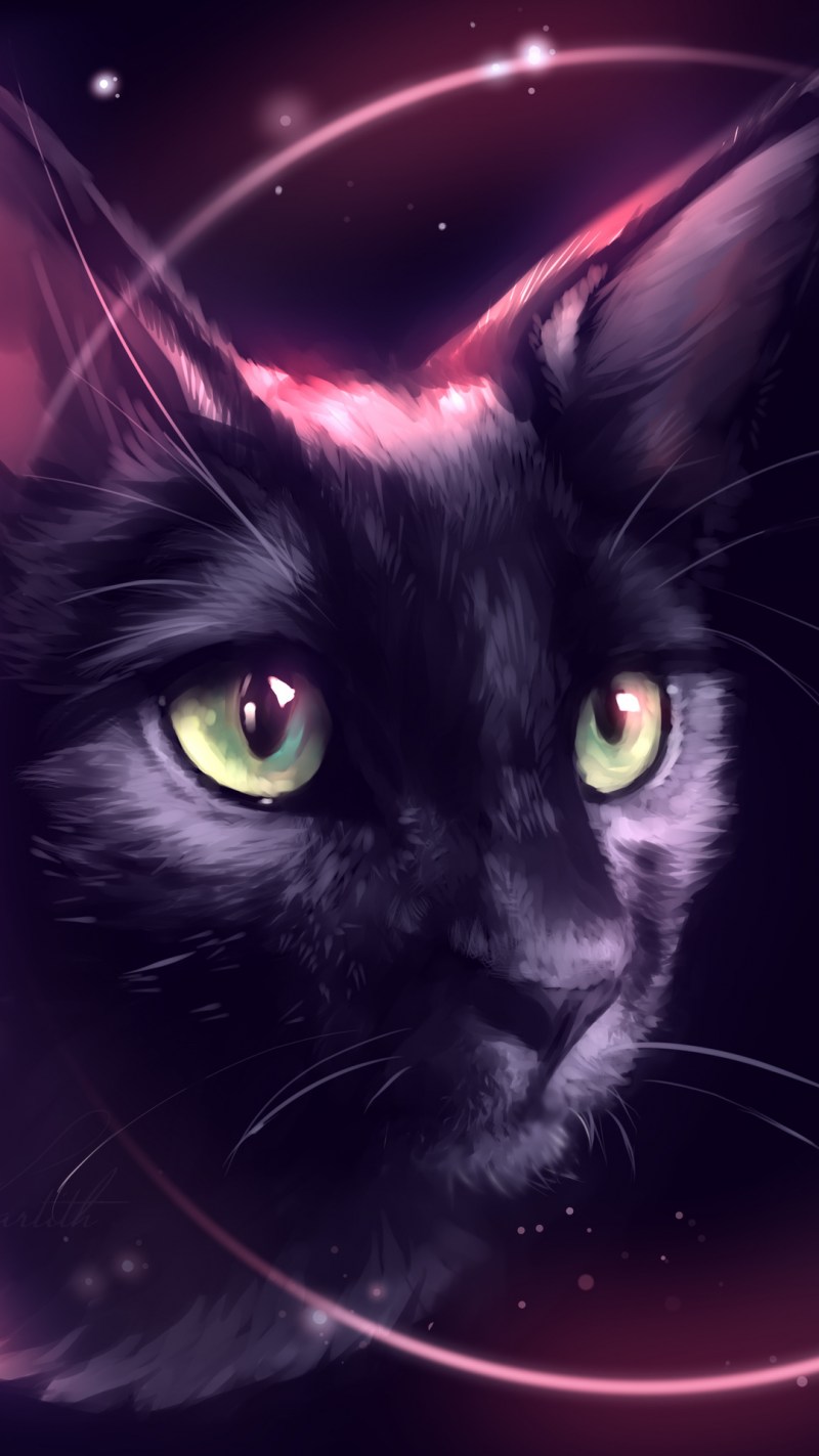 Аватарка кошечка