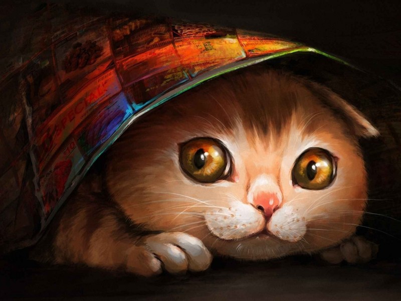 Кот арт