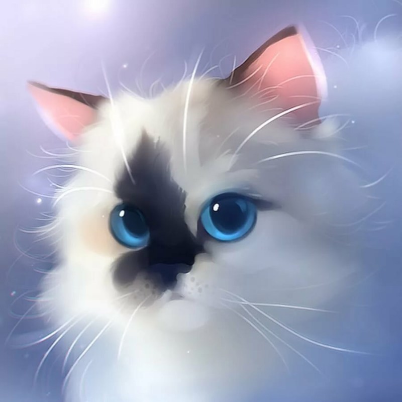 Красивые мультяшные коты