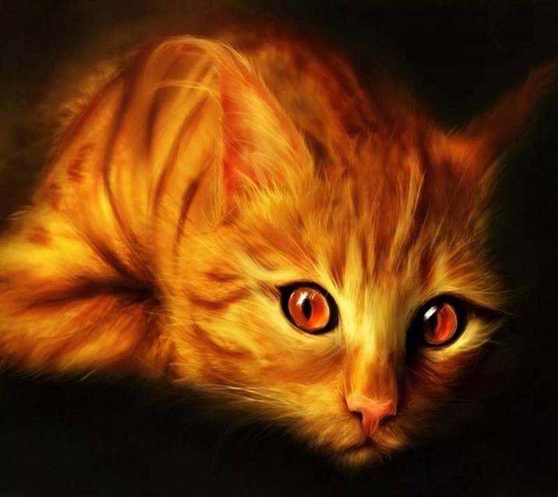 Рыжая кошка