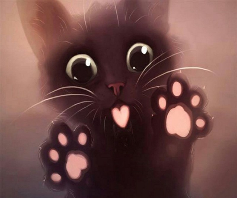 Няшные котики