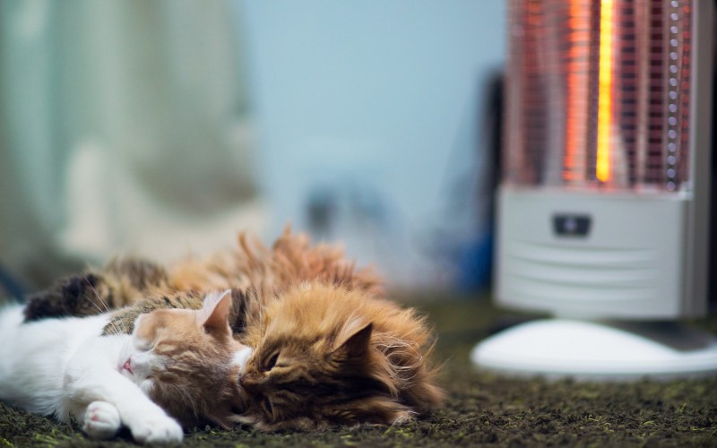 Кошка на обогревателе