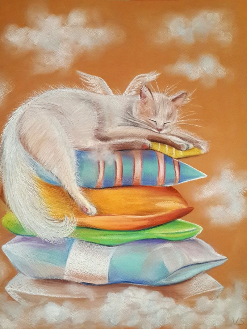 Теплые коты картинки
