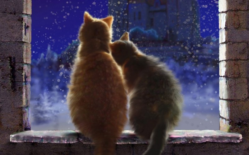 Дарья Москва художник котики
