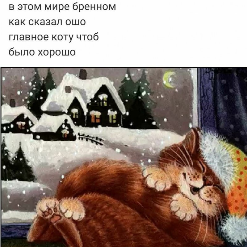 Уютная кошка