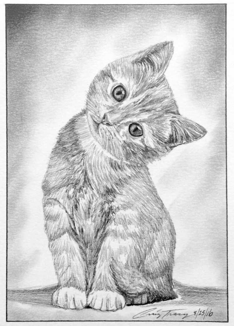 Кот карандашом