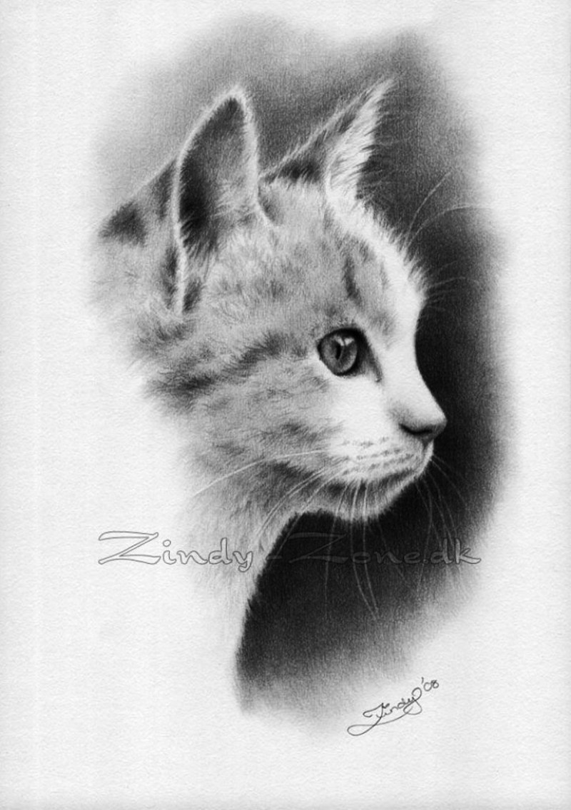 Котенок простым карандашом
