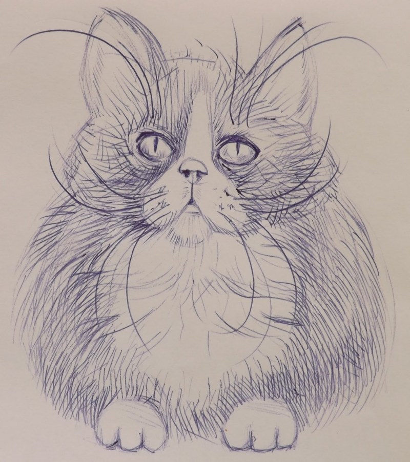 Рисунки котов карандашом